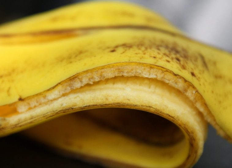 Peaux de banane : 24 façons de les réutiliser