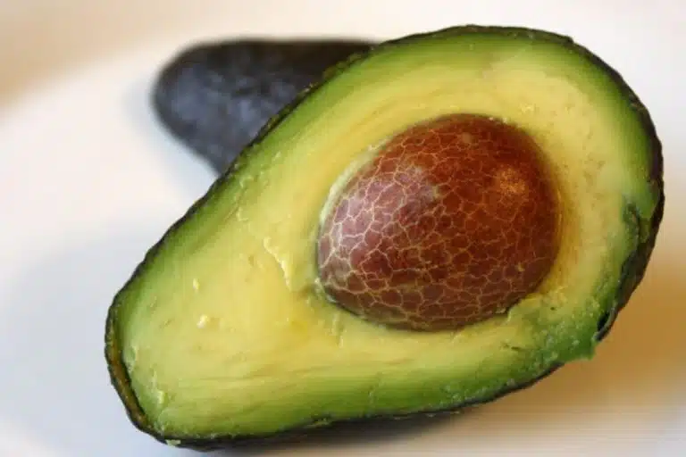 avocat