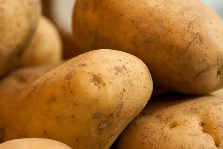 pomme de terre patates