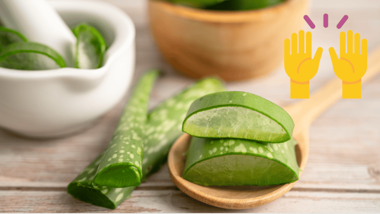 gel d'aloe vera utilisations