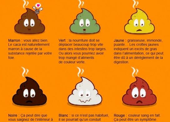 Tout ce que vous devez savoir sur... vos selles