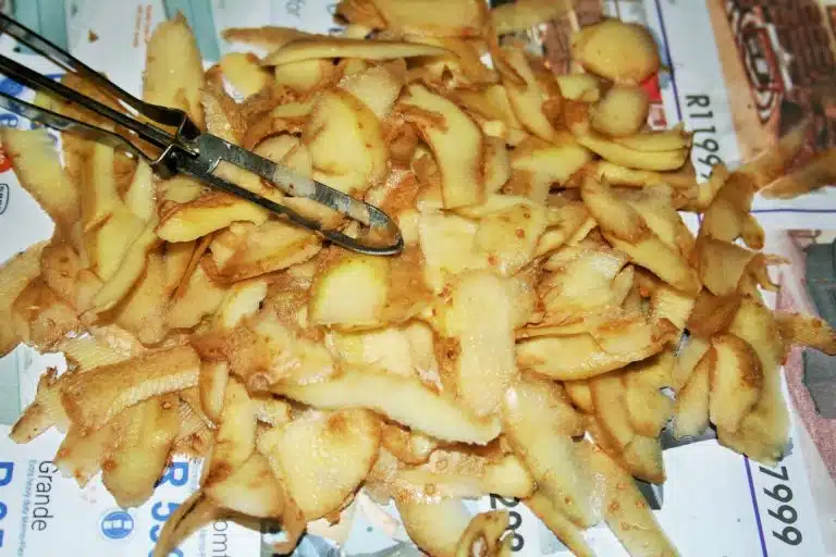 pelures &eacute;pluchures pomme de terre