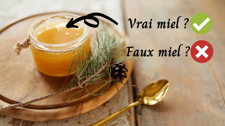 une vrai ou faux miel