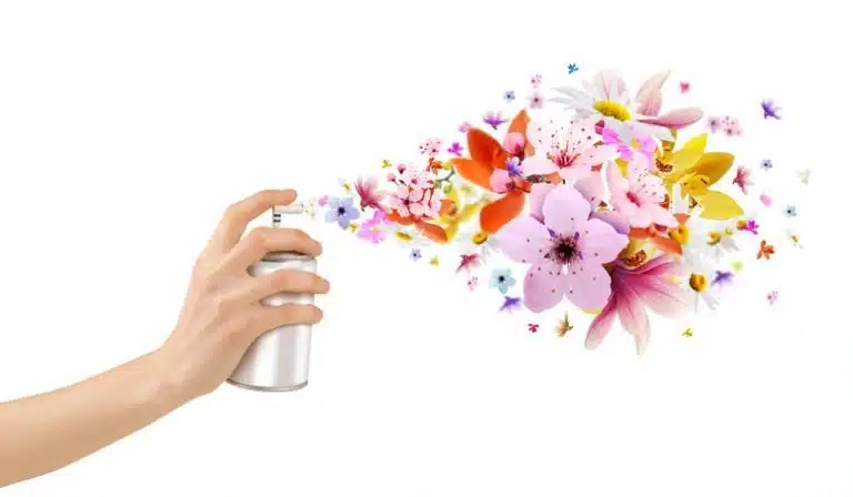 spray pulvérisateur intérieur