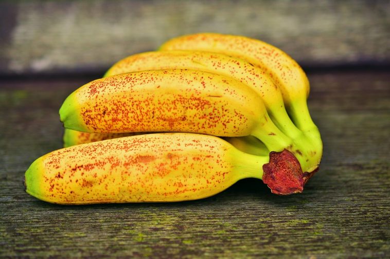 En Cas De Diarrhee Peut On Manger Des Bananes