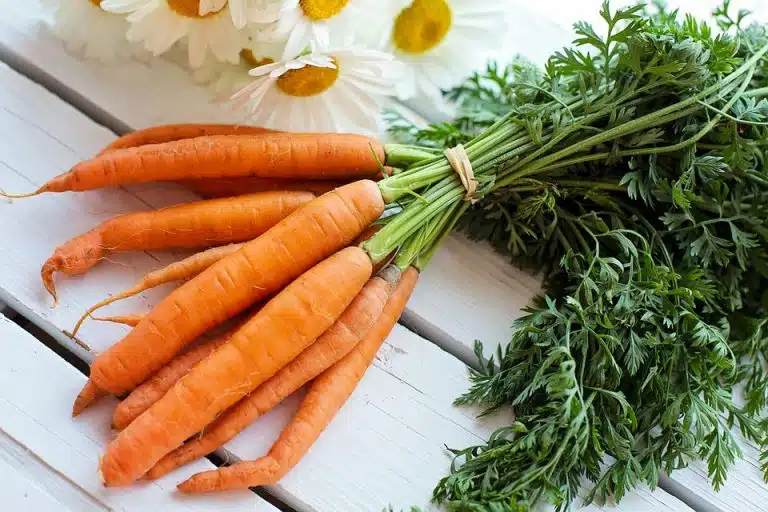carottes