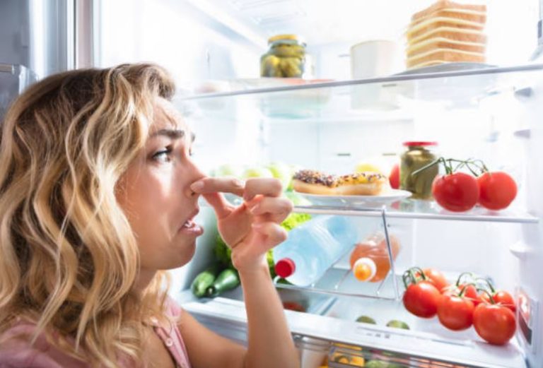 mauvaises odeurs frigo r&eacute;frig&eacute;rateur