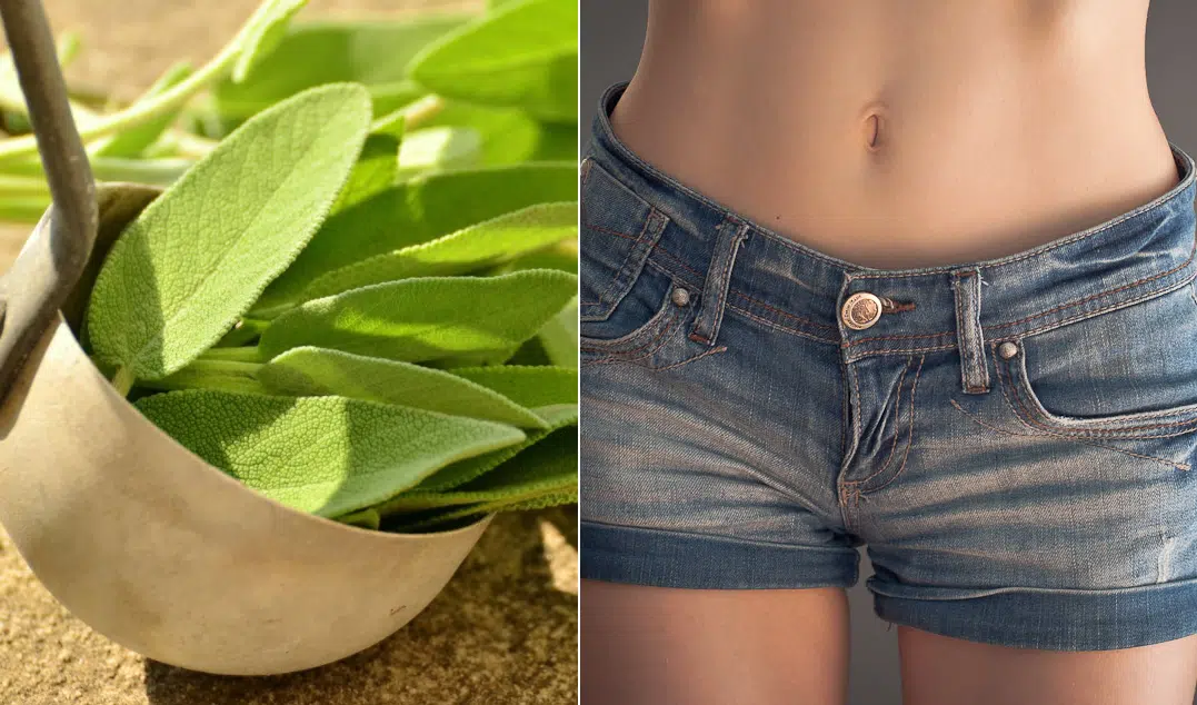 En 5 petites minutes, préparez ce sirop de sauge spécial ventre plat !