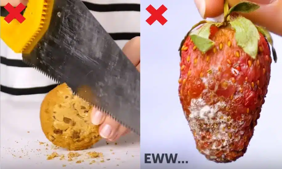 améliorer conservation aliments