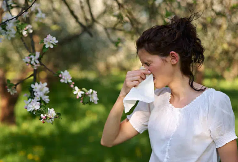 allergie pollen mouchoir