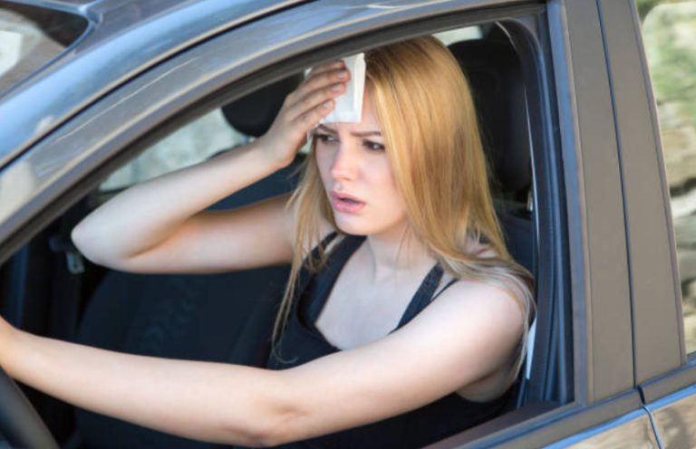 chaleur chaud &eacute;t&eacute; voiture fournaise canicule comment refroidir l'habitacle