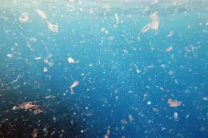 Microplastiques polluant les océans