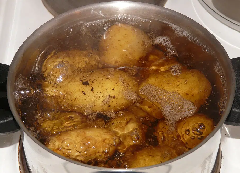 eau de cuisson des pommes de terre cuisson à l'eau