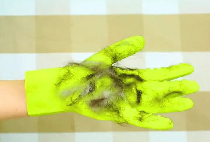 poils de chats gants mappa en caoutchouc