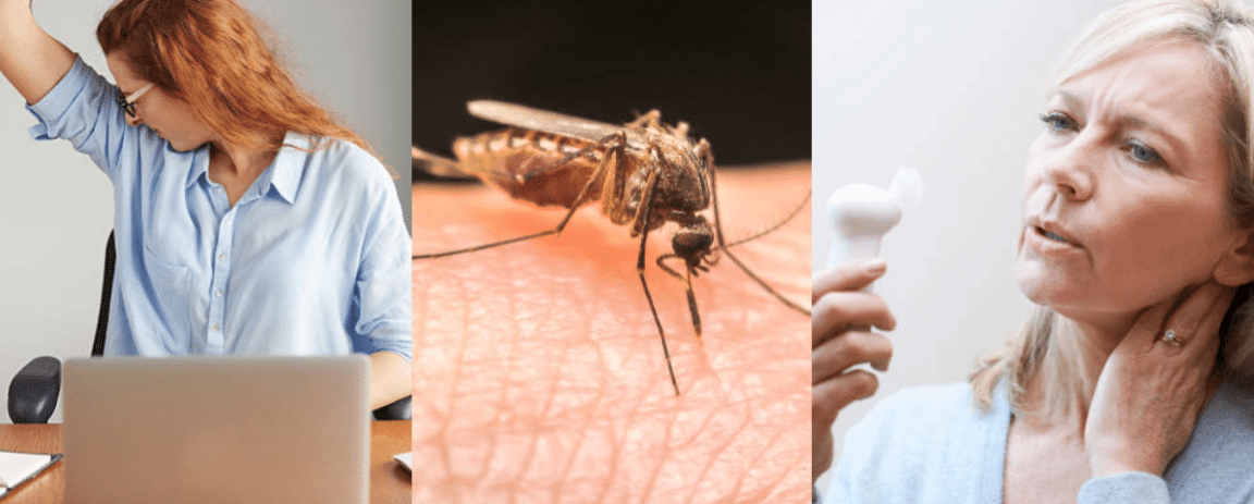 huiles essentielles &eacute;t&eacute;