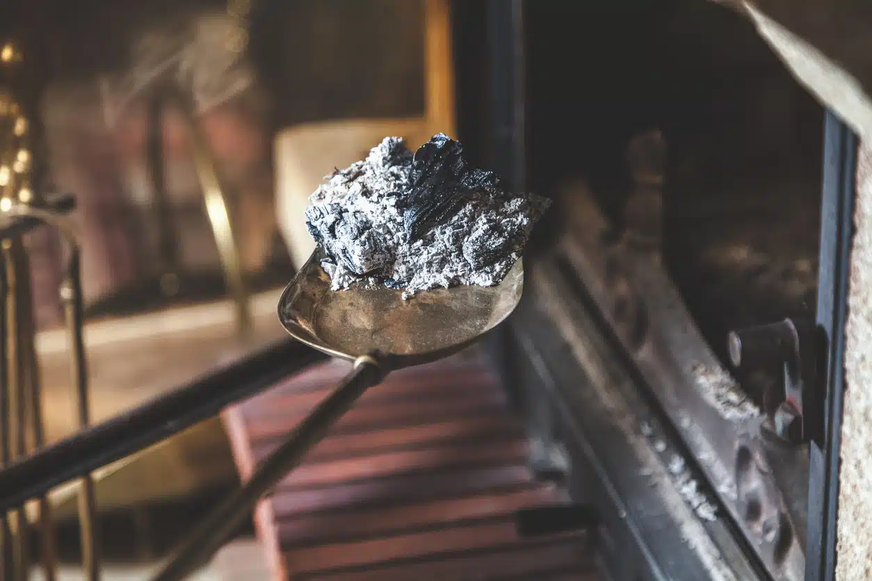 cendres chemin&eacute;e