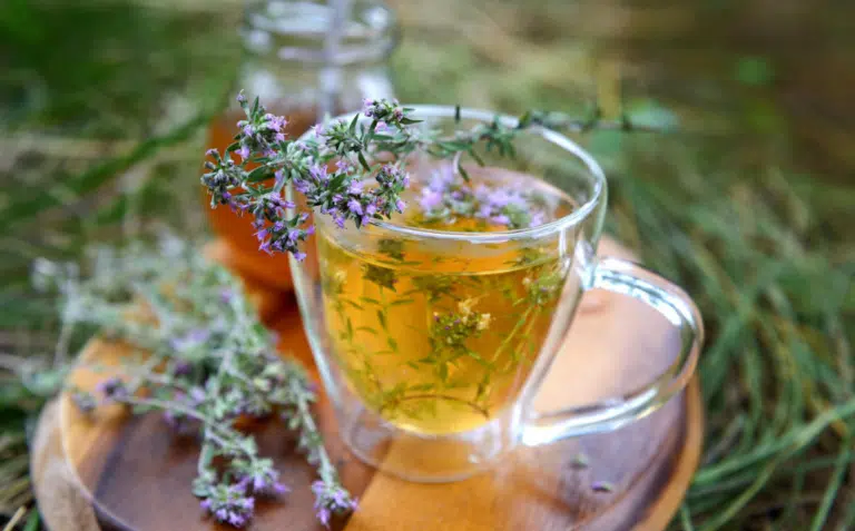 infusion de thym