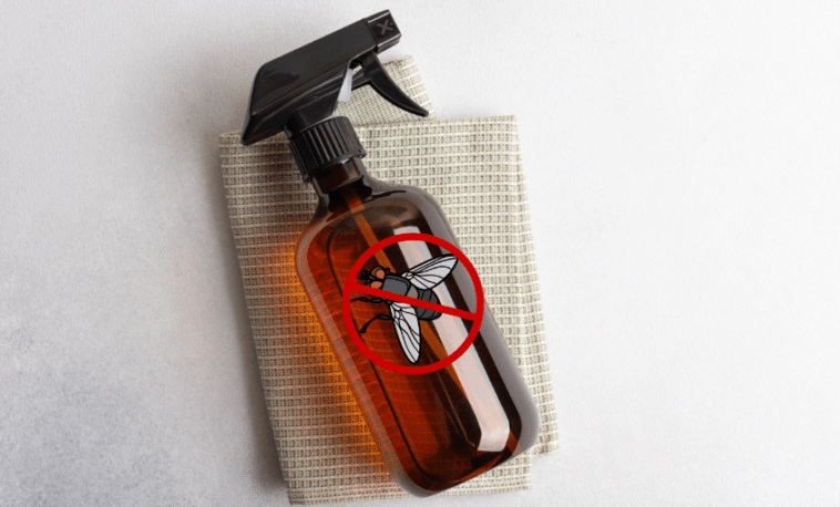 La recette du spray aux huiles essentielles qui fait fuir les mouches
