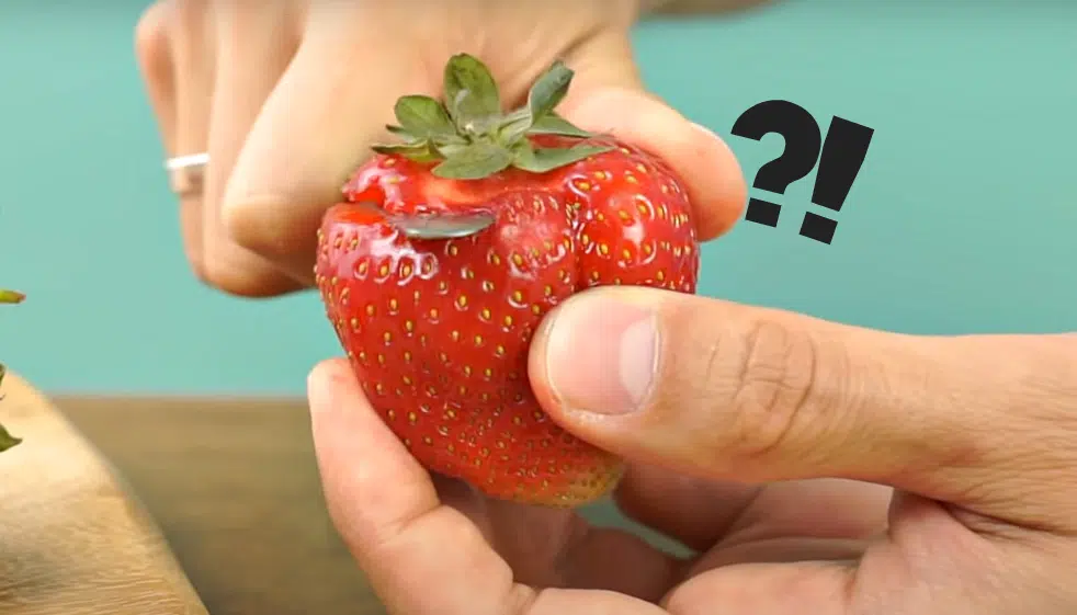 2 recettes anti-gaspi délicieuses avec les queues de fraises