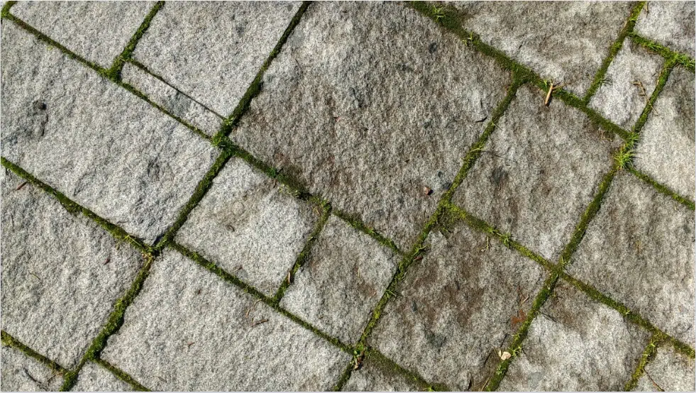 mousse terrasse dalles