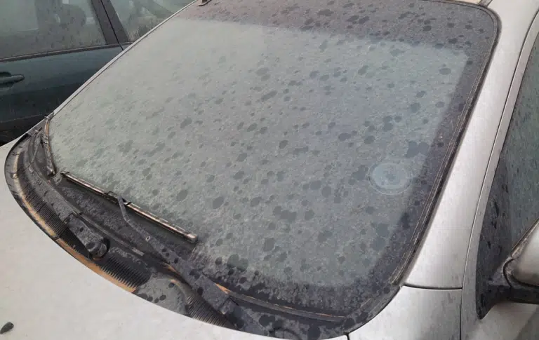 voiture parebrise sale