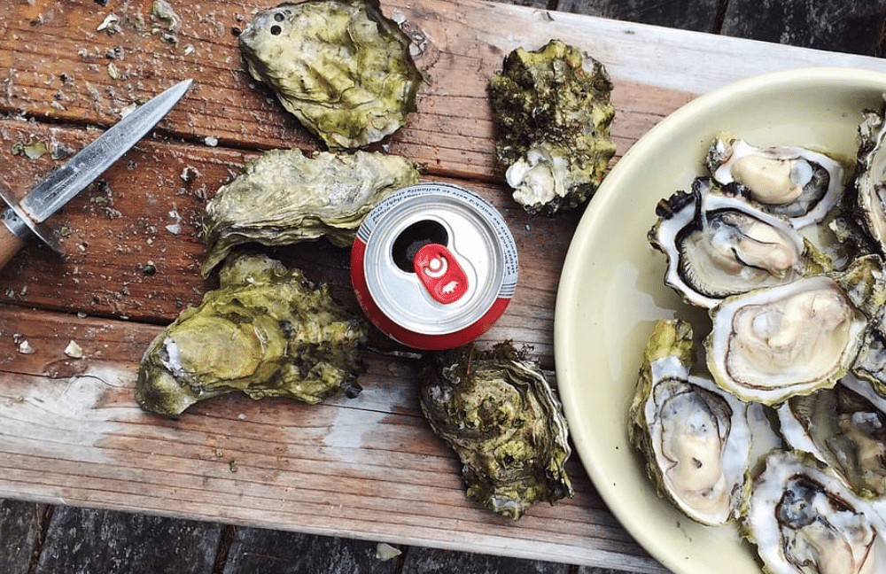 ouverture des hu&icirc;tres