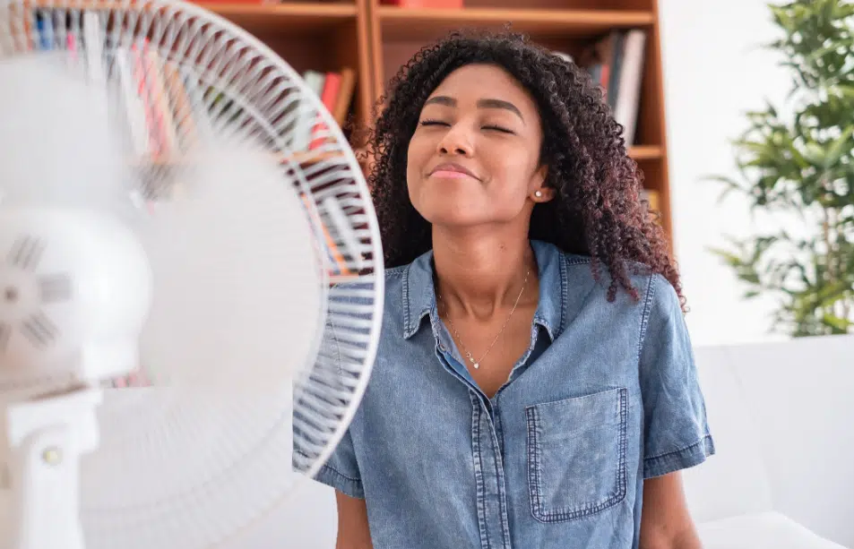 ventilateur se rafraichir chaleur