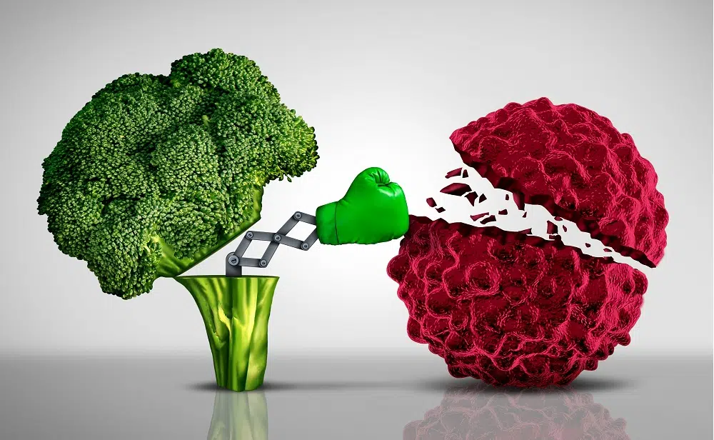 brocoli cancer nourriture alimentation anti canc&eacute;reuse