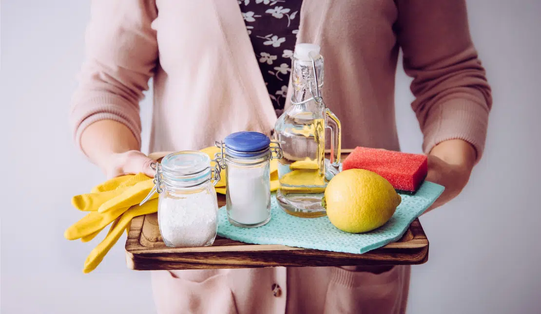 ingrédients naturels produits ménagers d'entretien