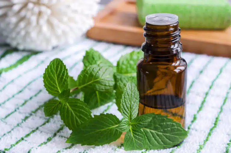 Huile essentielle de menthe poivr&eacute;e