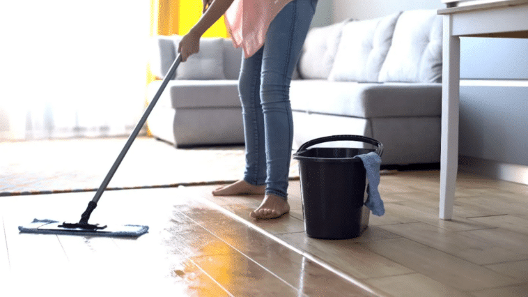 Nettoyeur De Sol Silvercrest 3 En 1 - Filaire Avec Réservoir D'eau, Pour Carrelage, Lino Et Moquette