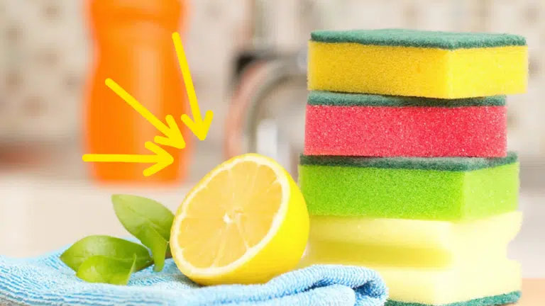 une nettoyer citron