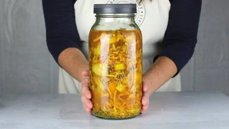 recette antibiotique naturel maison