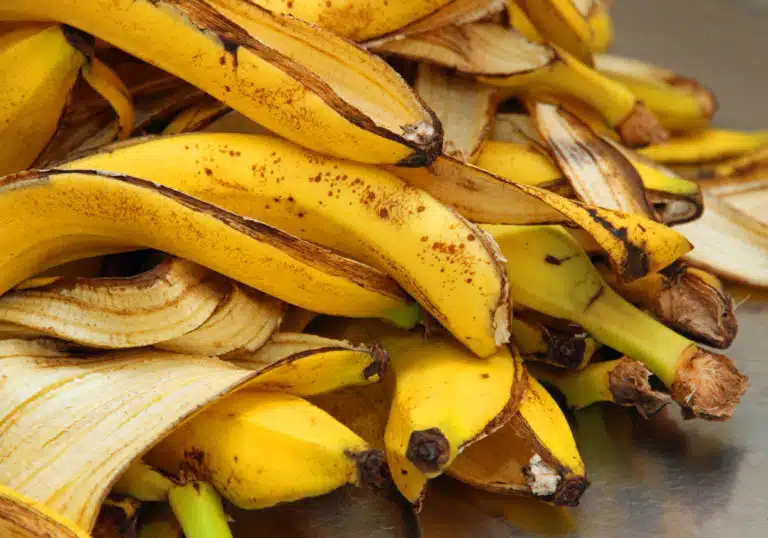 peaux de bananes