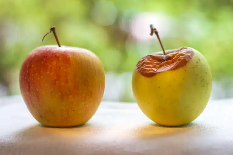 pomme pourrie