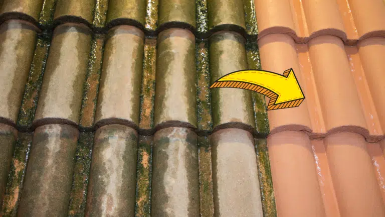 une d&eacute;moussage toit toiture mousses lichens