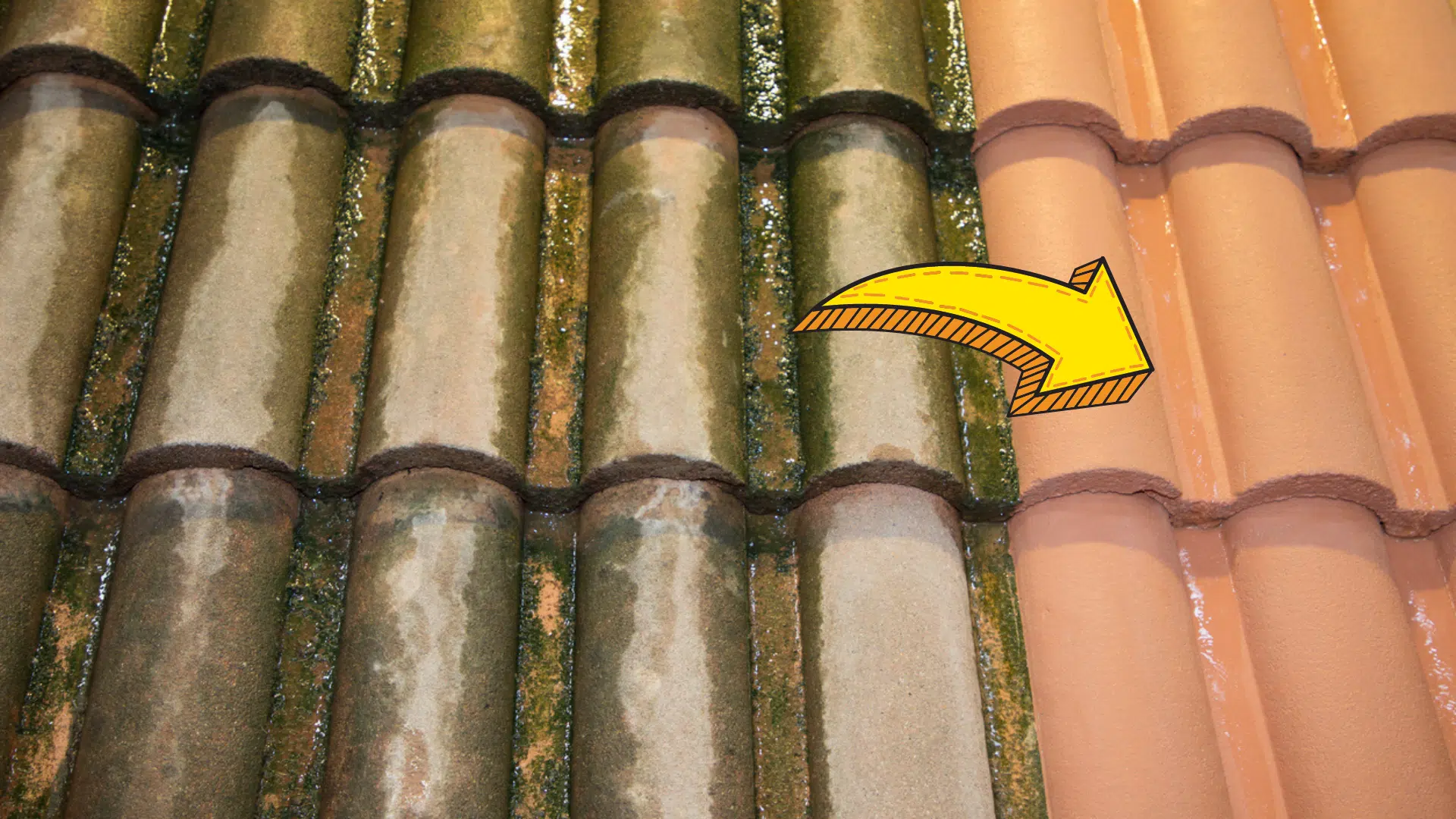 une d&eacute;moussage toit toiture mousses lichens