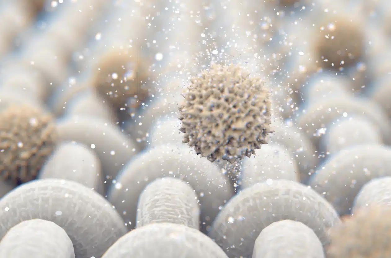 d&eacute;sinfecter linge