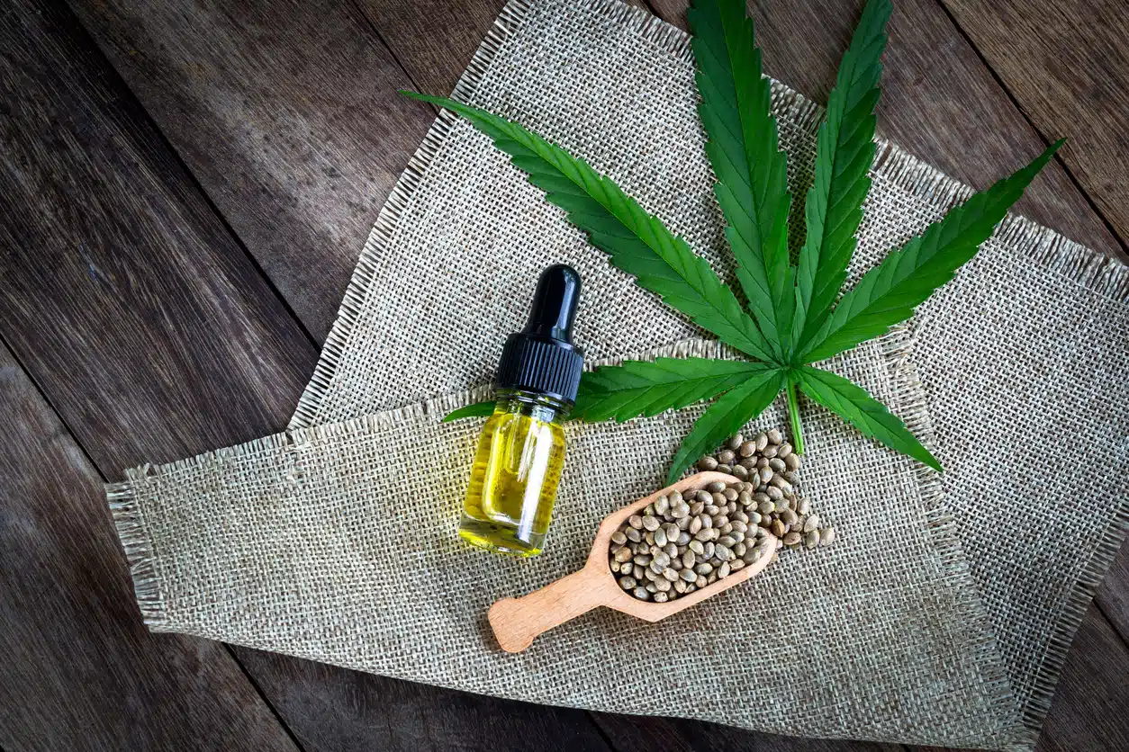 CBD chanvre huile graines plante