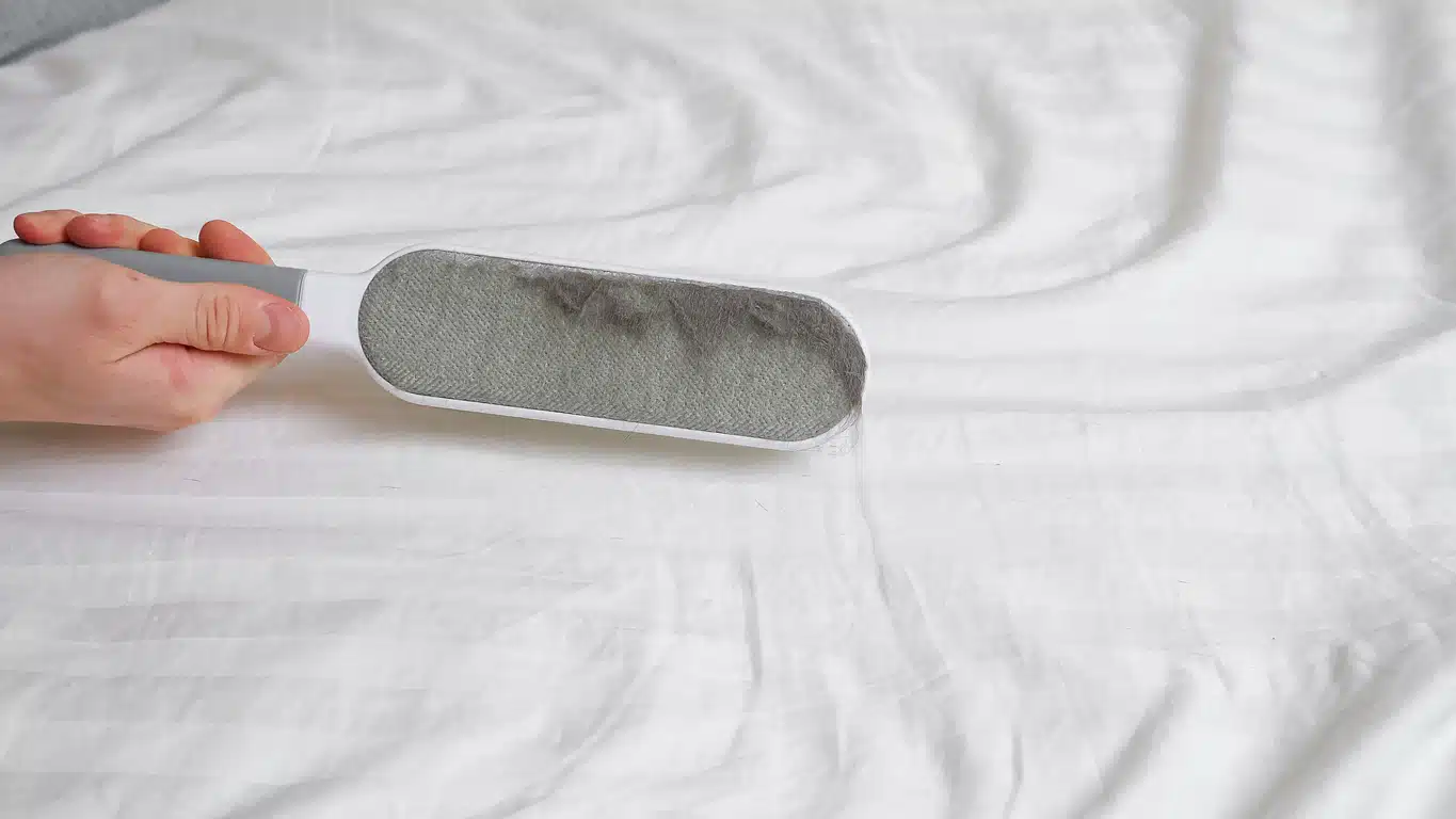 brosse &eacute;lectrostatique contre les poils sur les v&ecirc;tements et tissus