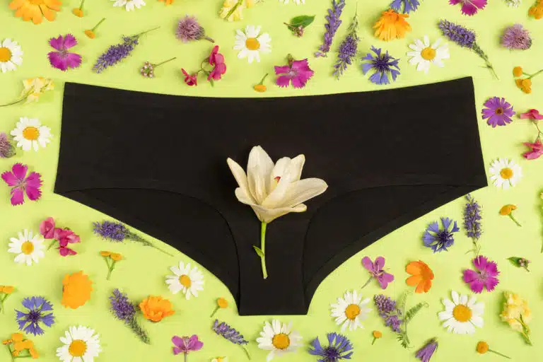 culotte en coton