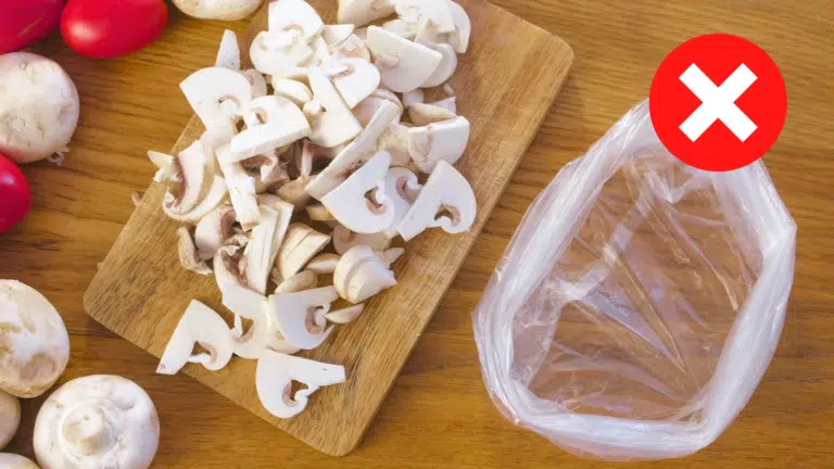 une conservation bien conserver les champignons