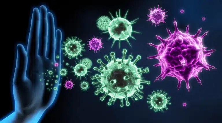 syst&egrave;me immunitaire immunit&eacute; d&eacute;fenses immunitaires