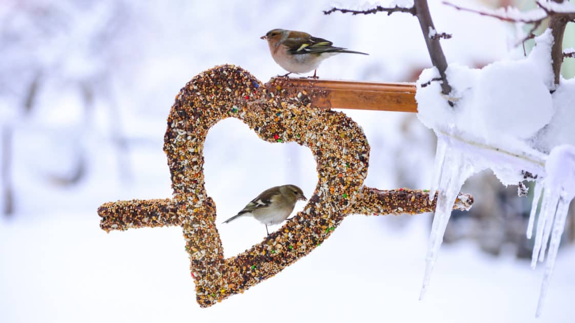 4 astuces pour chasser les taupes de son jardin - Astuces de grand mère