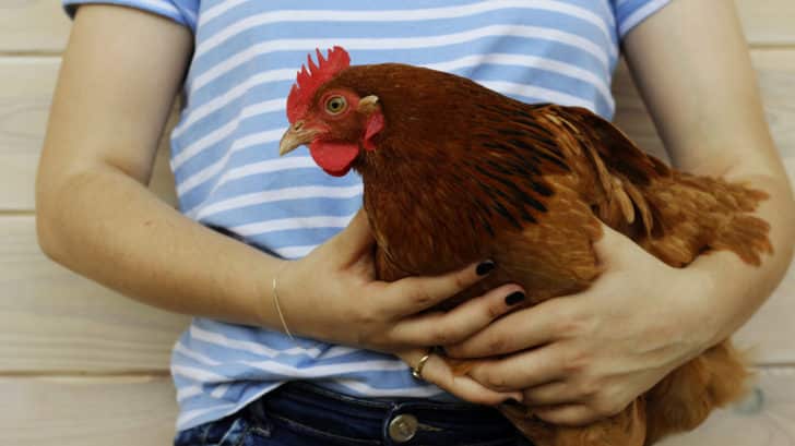 4 astuces pour chasser les taupes de son jardin - Astuces de grand mère