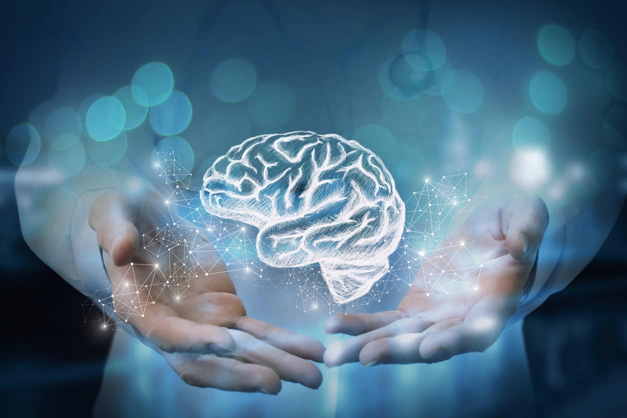 cerveau