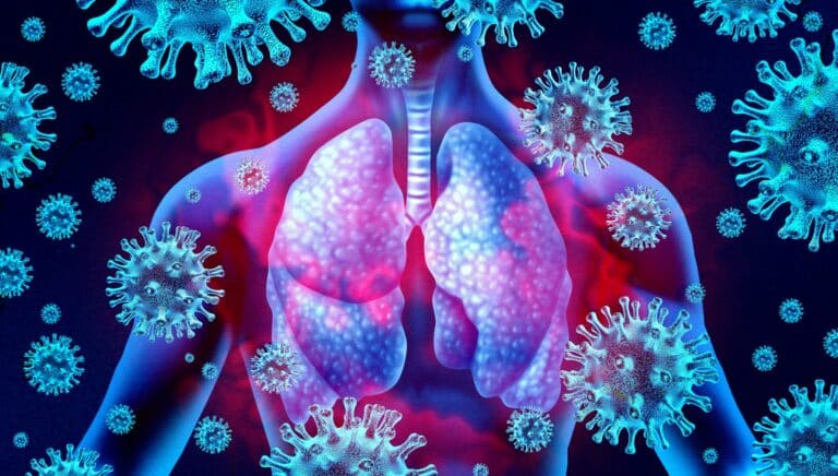syst&egrave;me immunitaire immunit&eacute; d&eacute;fenses immunitaires microbes germes bact&eacute;ries maladies