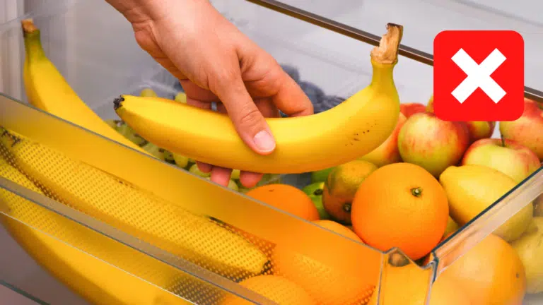 bac &agrave; fruits et l&eacute;gumes frigo r&eacute;frig&eacute;rateur