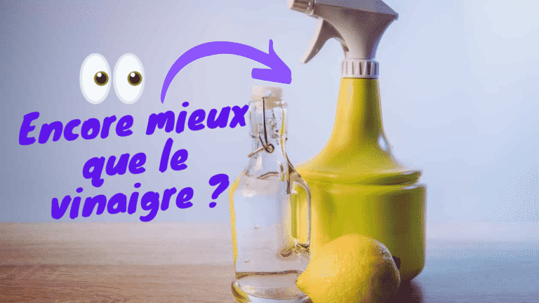 Comment éliminer l'odeur de renfermé ? Voici 9 astuces au top