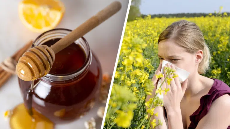 cure de miel d&eacute;sensibilisation contre l'allergie au pollen